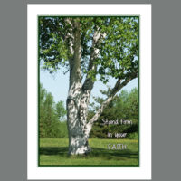 SPC-029 Standing Firm In Faith (Birch tree)