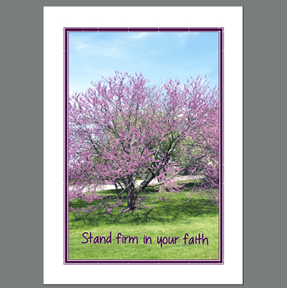 SPC-030 Stand Firm In your Faith (Redbud tree)